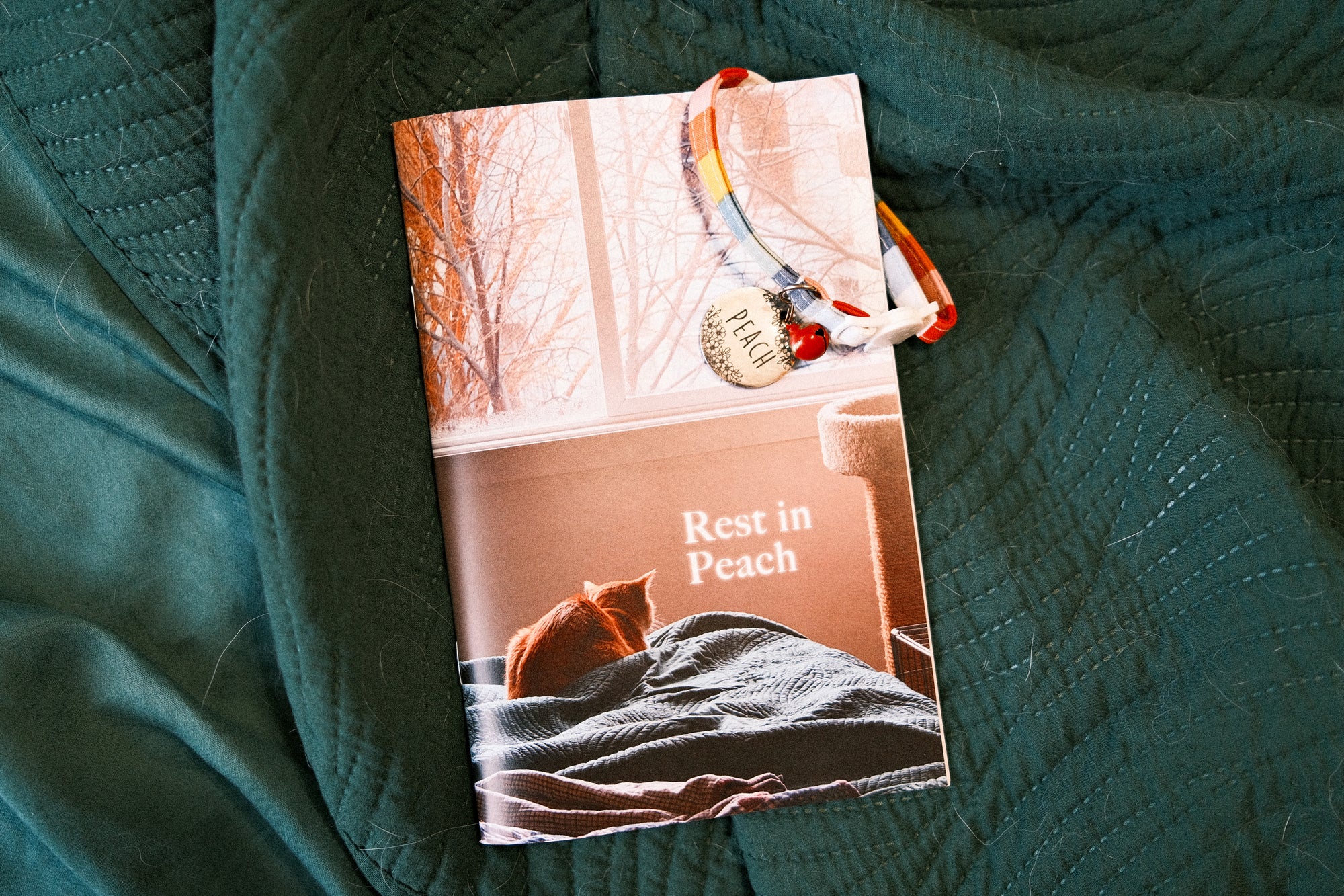 "Rest in Peach" Zine - Printed Copy