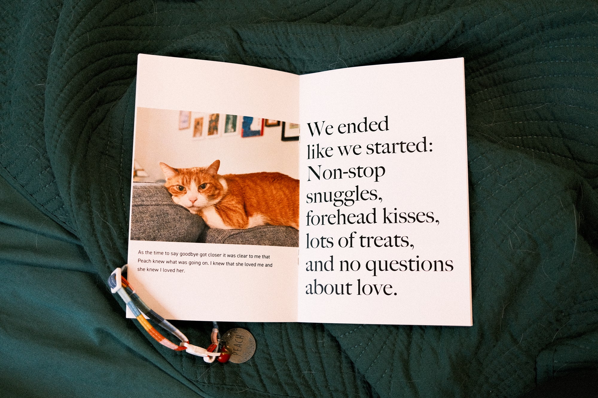 "Rest in Peach" Zine - Printed Copy