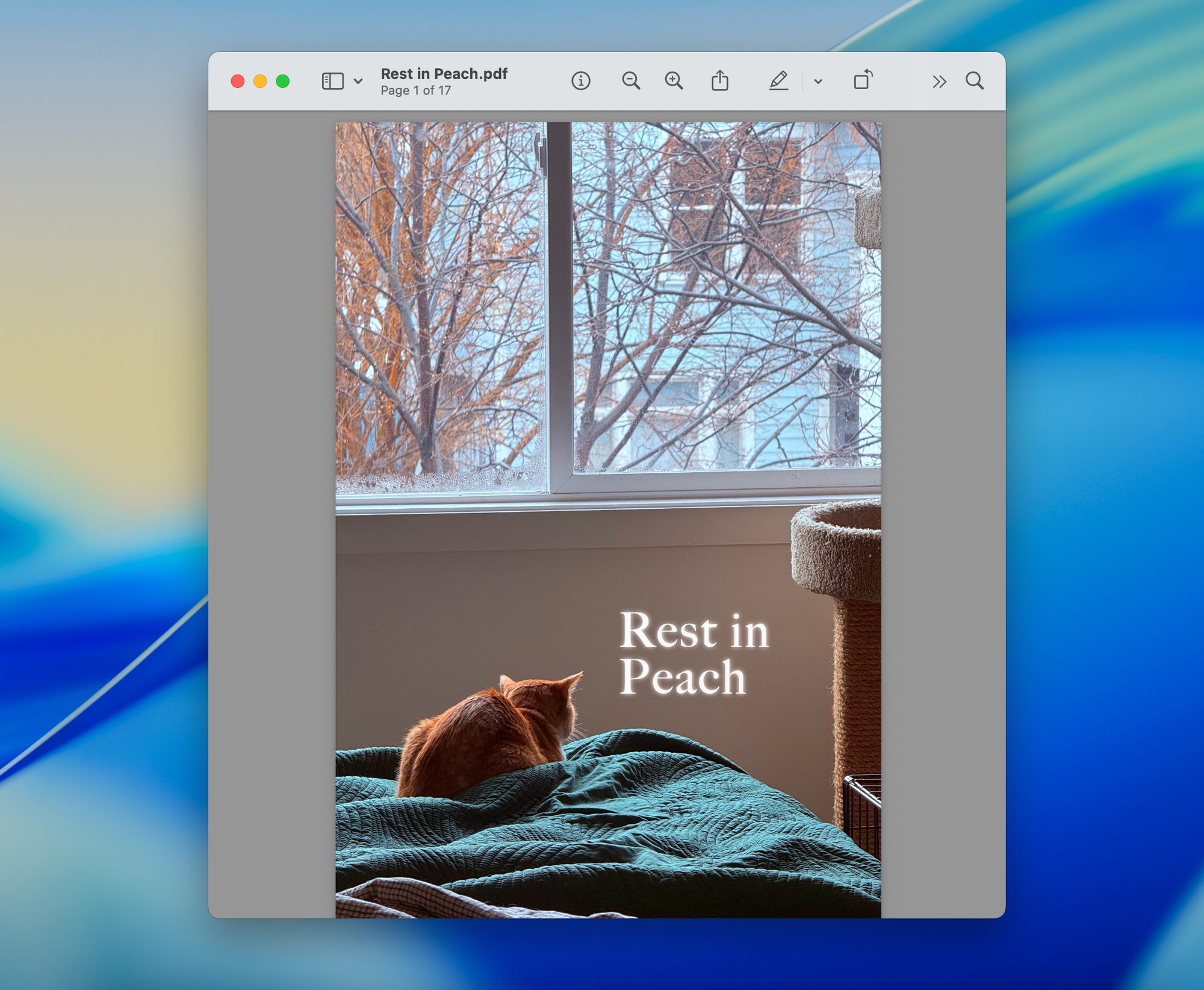 "Rest in Peach" Zine - PDF Download