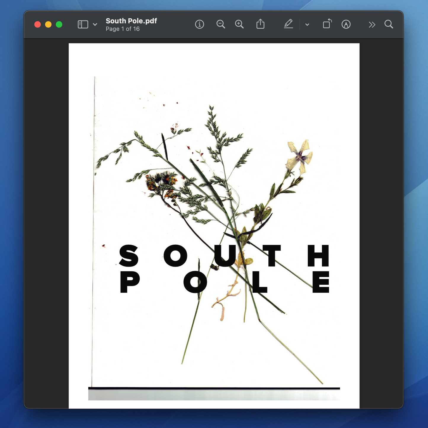 "South Pole" Zine - PDF Download